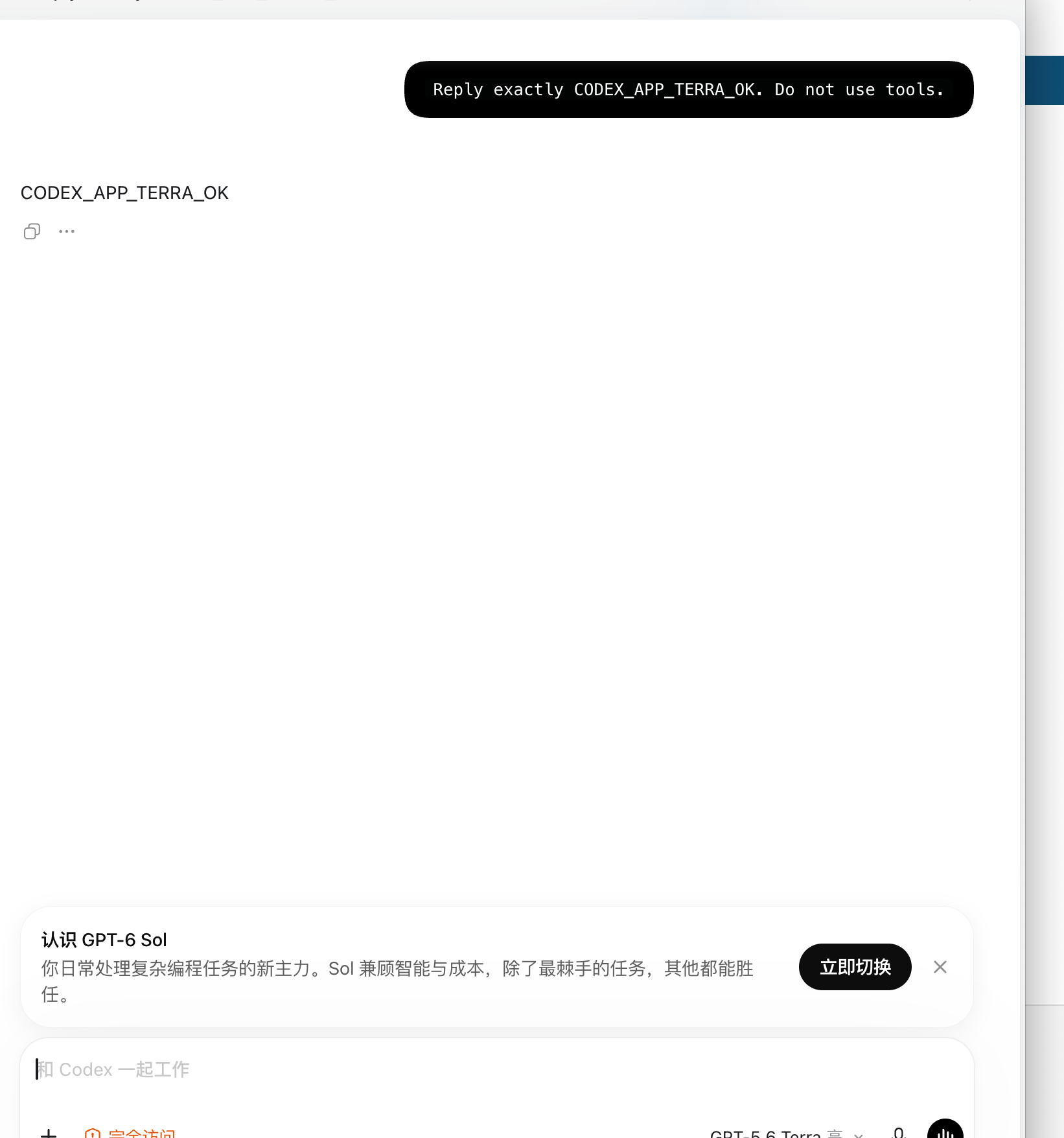 Codex App 通过易联 API 返回测试标记的实际截图